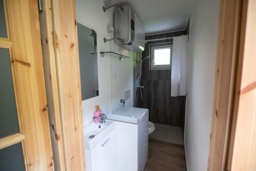 a bathroom with a white sink and a toilet at Alpine house Antonia in Trenta