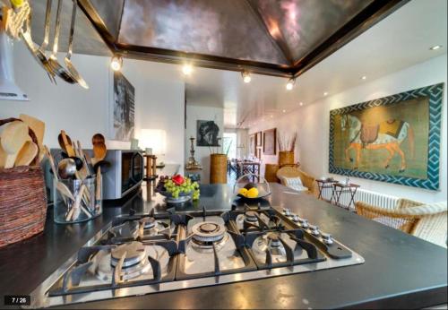 Luxury art apartment in Trastevere with terrace