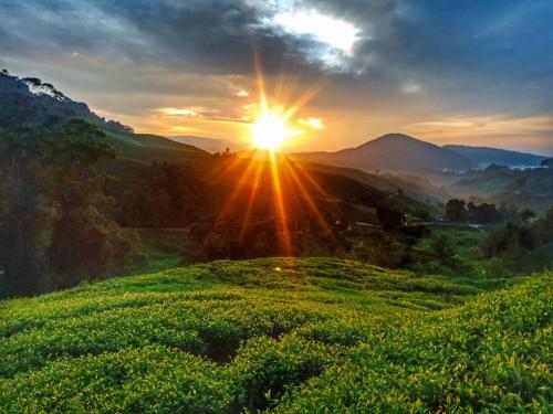 a sunset on a green hillside with the sun setting at 100 Oastel coLiving in Tanah Rata