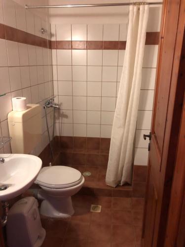 a bathroom with a toilet and a sink at Ξενώνας Πατρικό in Neraïdochóri