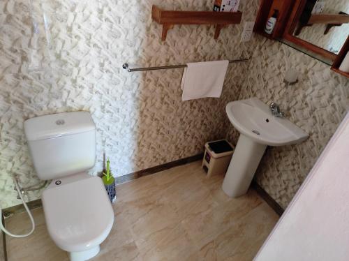 a bathroom with a toilet and a sink at La Residence D'Almee Guesthouse in Anse Possession