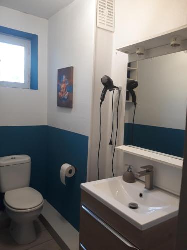 une salle de bain avec toilettes, lavabo et miroir dans l'établissement 5 minutes des Arènes, parking gratuit, 6 couchages, à Nîmes