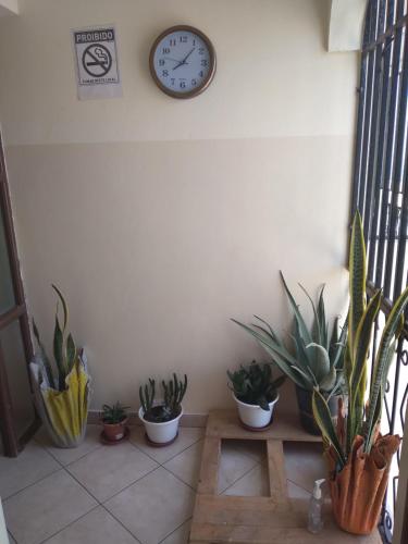 a room with potted plants and a clock on the wall at Pensão Domingas in São Filipe