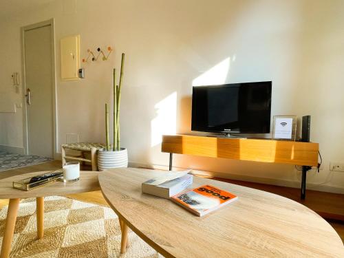 Una televisión o centro de entretenimiento en Boutique Padre Lainez - Cozy stylish one bedroom flat near Sagrada familia