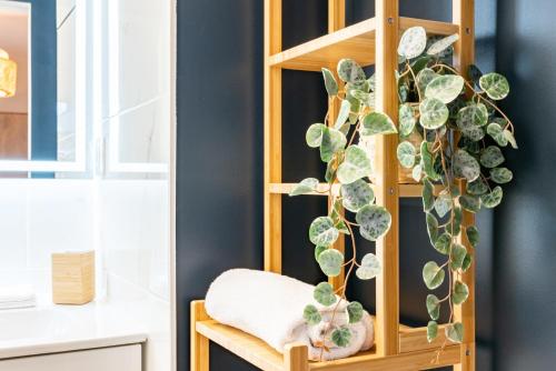 Une étagère avec une bande de plantes sur elle dans l'établissement ARISTIDE - Emplacement privilégié à Nantes, à Nantes