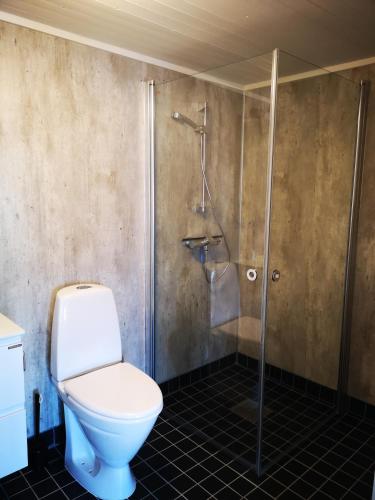 a bathroom with a toilet and a shower at Henningsvær Guesthouse in Henningsvær
