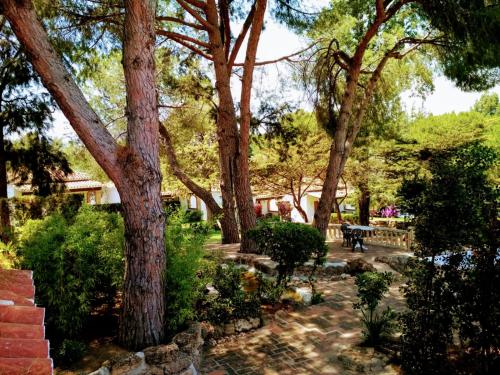 a garden with trees and a bench and bushes at Tottam Art & Healthy Garden in Málaga