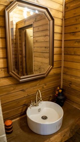 a bathroom with a sink and a mirror at ȘURA LU' PĂTRU in Vulcan