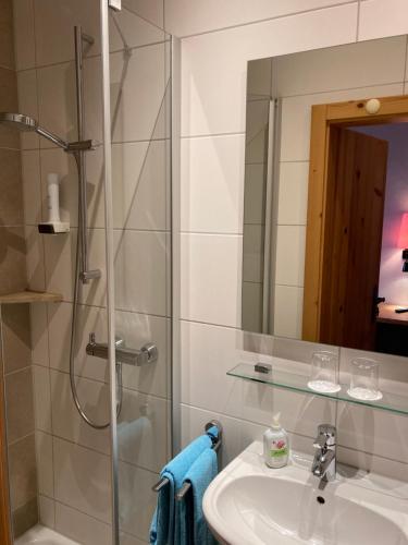 Bilik mandi di Gasthof Bogenrieder