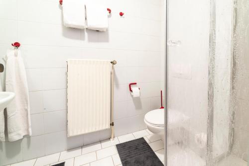 a bathroom with a toilet and a shower at Gästezimmer 5 im Landgasthaus Lindenhof in Fresenburg