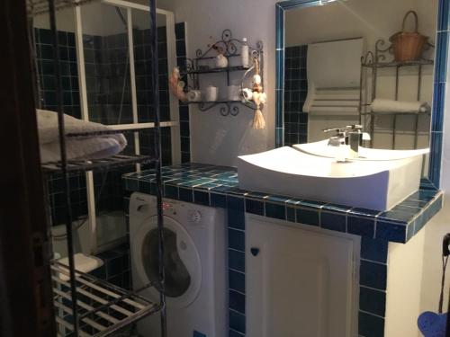 une salle de bain avec un lavabo et une machine à laver dans l'établissement Ravissant studio climatisé Gambetta Miséricorde au cœur de Saint-Tropez, à Saint-Tropez