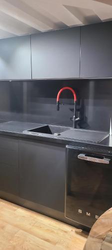 - une cuisine équipée d'un évier et d'un robinet rouge dans l'établissement High Stay Saint Germain de Pres Paris 6, à Paris