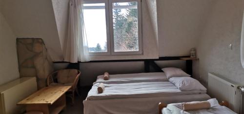 a room with two beds and a table and a window at Sirius Club Kopaonik in Kopaonik