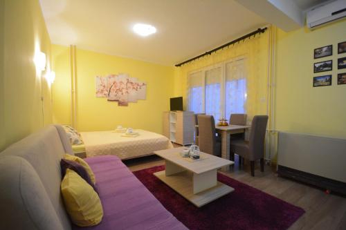 ein Wohnzimmer mit einem Sofa, einem Tisch und einem TV in der Unterkunft Apartman Sladja in Vrnjačka Banja