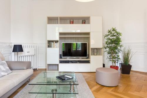 Appartement Luxueux Centre Ville في كولمار: غرفة معيشة مع أريكة وتلفزيون