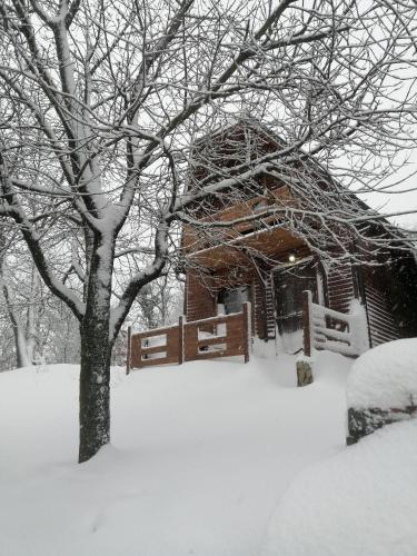 a house covered in snow next to a tree at Brvnara Fruska Koliba in Vrdnik