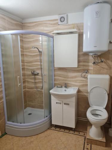 a bathroom with a shower and a toilet and a sink at Apartman Nika in Otočac