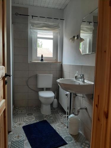 uma casa de banho com um WC e um lavatório em Ferienwohnung Elbblick em Hohnstorf