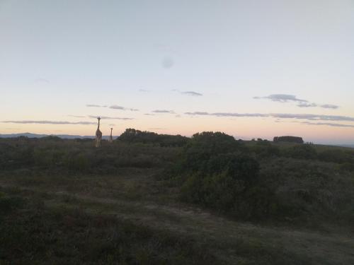 a giraffe standing in the middle of a field at Fijnbosch Game Lodge Jeffreys Bay in Jeffreys Bay