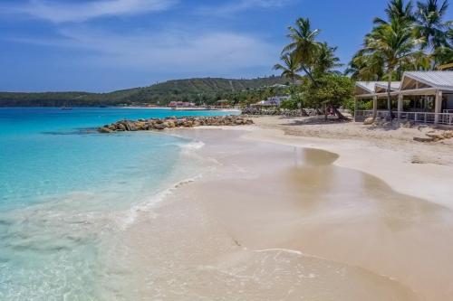 a beach with palm trees and blue water at Siboney Beach Club in Saint Johnʼs