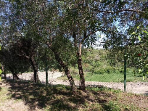 La mandarina – Photos 5