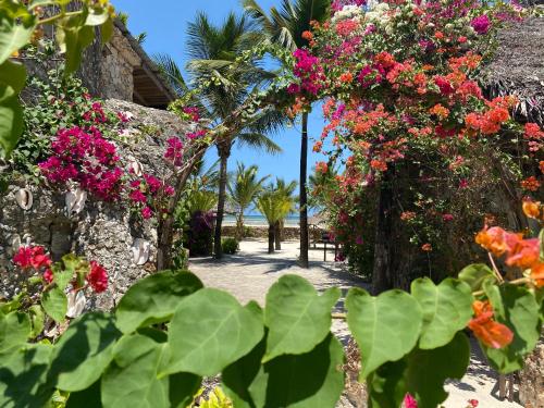 The Beach B&B – Photos 3