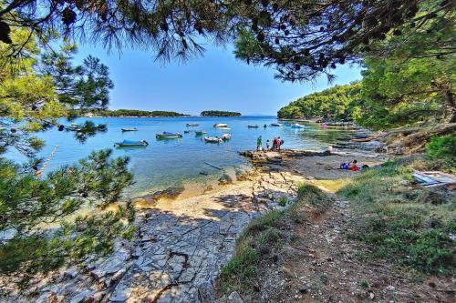Mobile home- Fish huts and Orange huts