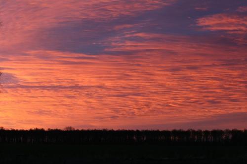 a sunset over a field with trees in the foreground at Lilla Huset på Slätten B&B in Lund
