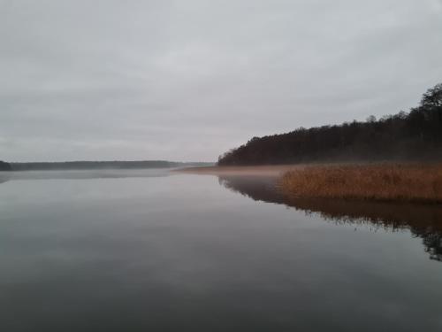 a misty lake in the middle of a forest at 4 Sterne-Haus am See in Waren