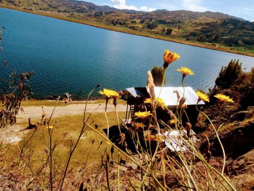 a view of a lake with flowers in the foreground at Madervill Hospedaje in Aquitania