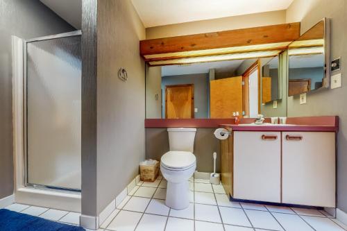 a bathroom with a toilet and a sink and mirror at Shawnee Escape in East Stroudsburg