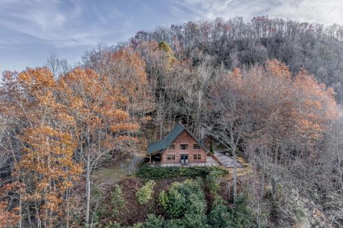 a small house on a hill in the woods at Cloud Walk in Sylva