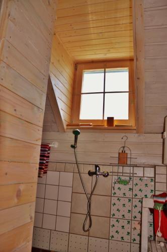 a bathroom with a shower in a wooden house at Vineyard Cottage Vercek in Novo Mesto