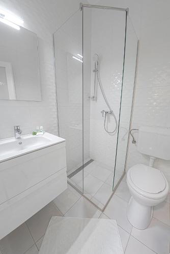 a bathroom with a shower and a toilet and a sink at Casablanca Panzió in Tata