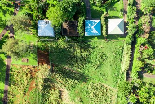 an overhead view of a yard with trees and bushes at Waipio Glass House in Kukuihaele