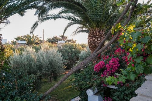 Giardino di Golden Beach Studios & Suites