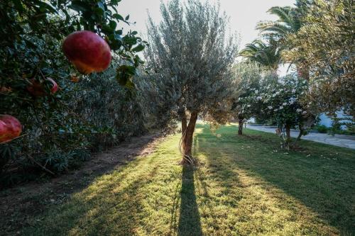 Giardino di Golden Beach Studios & Suites