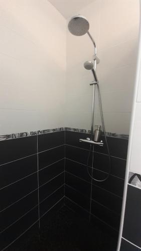 a shower with a light in a black bathroom at Gîte & Chambres d'Hôtes - Le Petit Bali in Saint-Pandelon