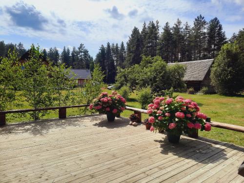 three flowers on a wooden deck with a teddy bear at Purgaiļi in Smiltene