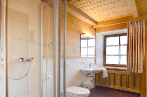 a bathroom with a shower and a toilet and a sink at Gasthof Hotel zur Post in Kiefersfelden