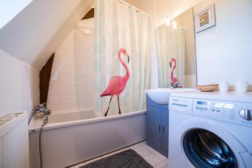 Deux flamants roses debout dans une salle de bains à côté d'un lave-linge dans l'établissement Calvaloft, à Bons-Tassily