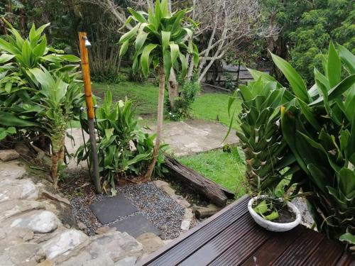 a garden with a wooden bench and some plants at Ikaya Accommodation PSJ in Port St Johns