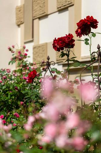 a group of red flowers in front of a building at Villa Fantasia Budget Boutique Hotel in Füssen