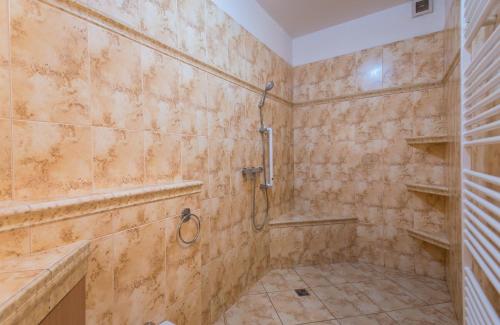 a bathroom with a shower and a walk in shower at Ubytování Světluška in Třeboň