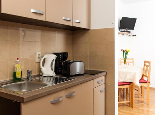 a kitchen with a sink and a counter top at Apartments Ana Lopud in Lopud Island