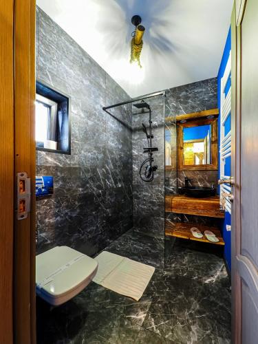 a bathroom with a shower with a toilet and a sink at Residence Rooms Bucovina in Câmpulung Moldovenesc