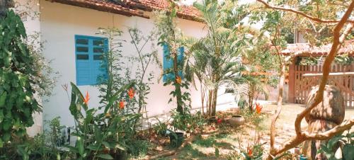 a garden in front of a house with plants at Casinha do Bem-Viver na Vila de Itaúnas in Itaúnas