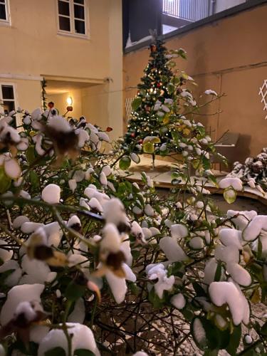 a snow covered christmas tree in front of a building at Hotel Aarhus City Apartments in Aarhus