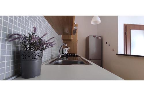 kuchnia ze zlewem i doniczką na ladzie w obiekcie Apartment Flowers w Bibinje