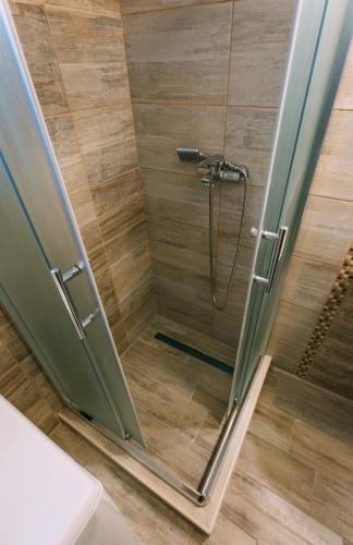 a shower with a glass door in a bathroom at Mici Luxury Apartments in Ledine